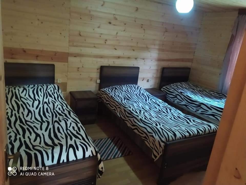 Guesthouse Luka Ushguli Luaran gambar